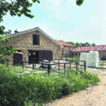 Ποιοι 5 παίκτες ερίζουν για το Τατόι