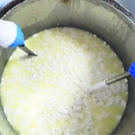 Στο ΑΠΘ έφτιαξαν νέο τυρί με αιθέρια έλαια