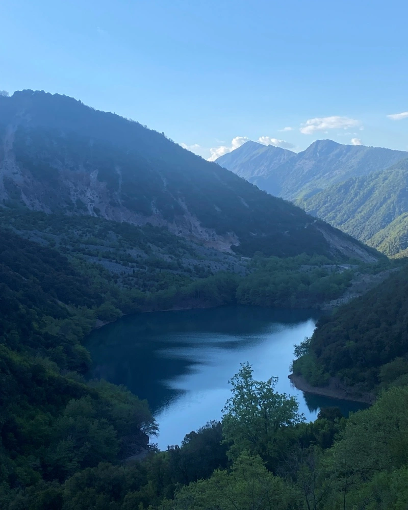 Στεφανιάδα