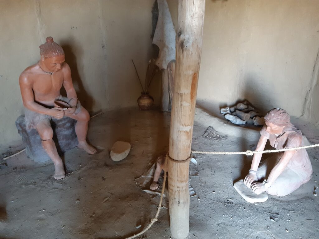 Δισπηλιό Καστοριάς: Όταν η προϊστορία γίνεται… ιστορία, με δενδροχρονολόγηση και ραδιοχρονολόγηση