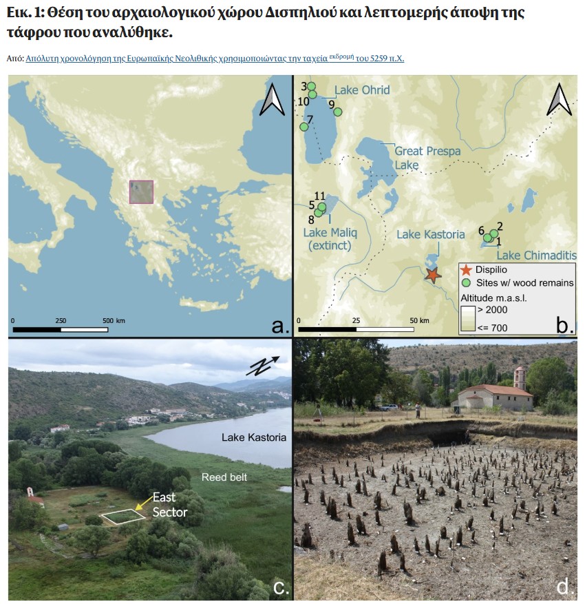 Δισπηλιό Καστοριάς: Όταν η προϊστορία γίνεται… ιστορία, με δενδροχρονολόγηση και ραδιοχρονολόγηση