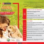 «Το Σπίτι του, η Αγκαλιά σου»: H επιτυχημένη πρωτοβουλία για λιγότερα αδέσποτα έρχεται στη Θεσσαλονίκη