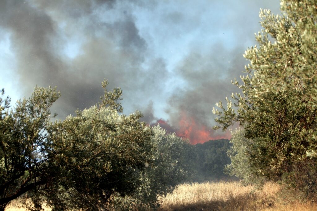 Φωτιές σε Μαρκόπουλο και Ριτσώνα: Ξεκίνησαν από ανθρώπινο χέρι – Δύο συλλήψεις και πρόστιμα [Βίντεο]