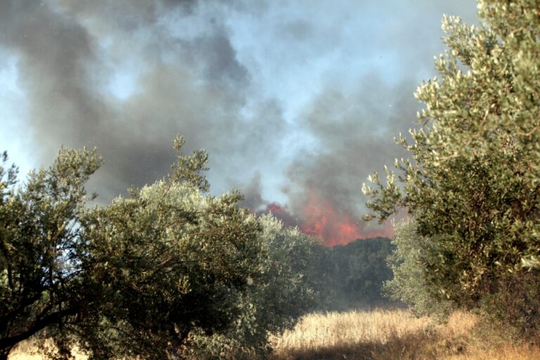 Φωτιές σε Μαρκόπουλο και Ριτσώνα: Ξεκίνησαν από ανθρώπινο χέρι – Δύο συλλήψεις και πρόστιμα [Βίντεο]