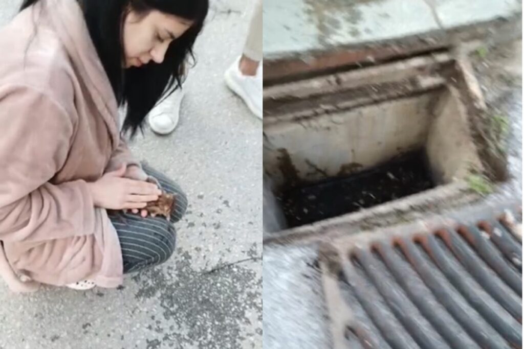 Θεσσαλονίκη: 21χρονη νοσηλεύτρια επαναφέρει στη ζωή γατάκι που είχε πέσει σε φρεάτιο [Βίντεο]