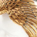 Κλεοπάτρα: Ελπίδες για την ανακάλυψη του τάφου της – Τι εντόπισε πασίγνωστη αρχαιολόγος