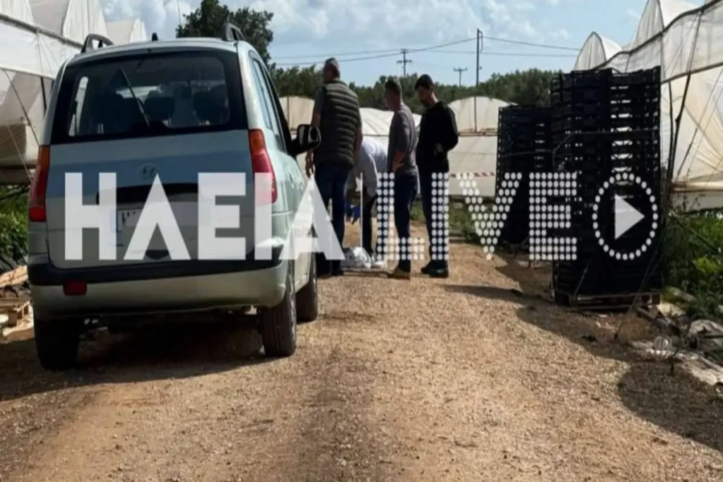 Ηλεία: Πώς έγινε το φονικό στην Βάρδα – Μαχαίρωσε τον 24χρονο στην καρδιά