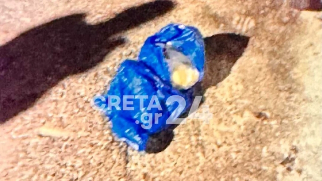 Στη φυλακή η 34χρονη που πέταξε το μωρό της στα σκουπίδια