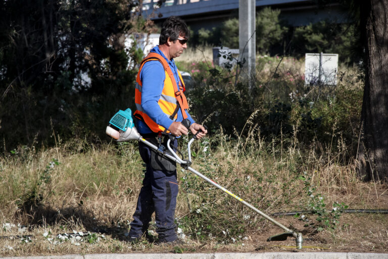 Ακαθάριστα οικόπεδα