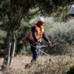 Ακαθάριστα οικόπεδα: Περισσότερες από 5.400 καταγγελίες – «Πέφτουν» πρόστιμα