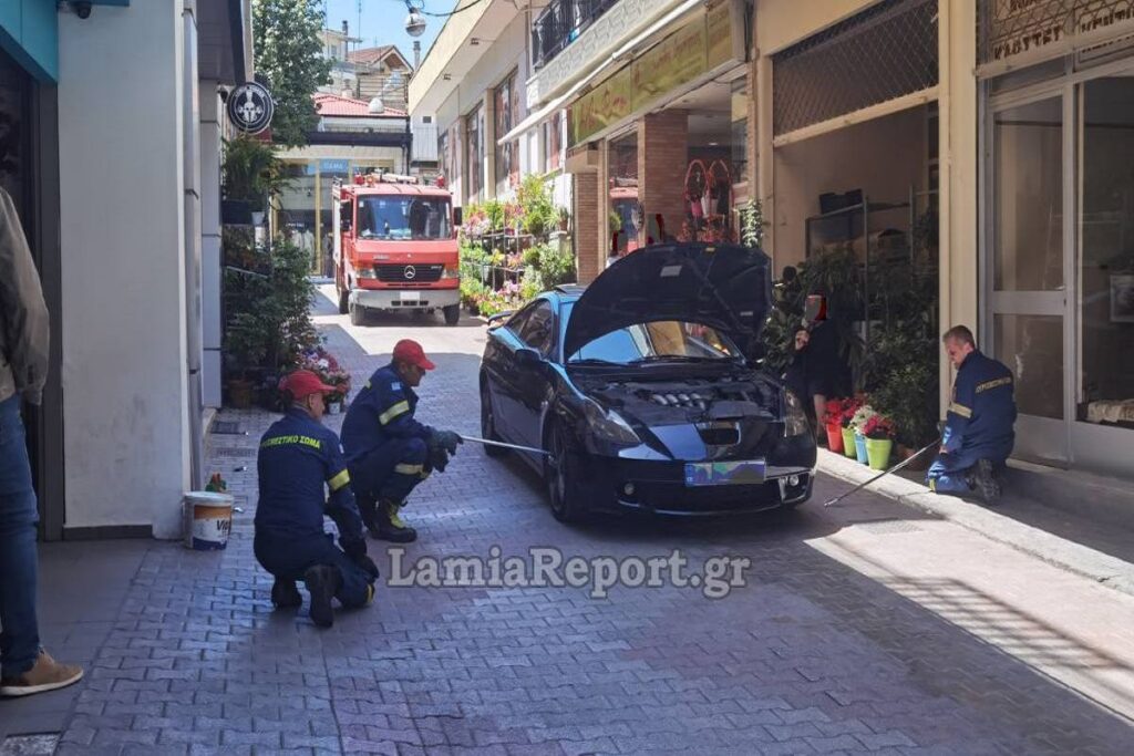 Αναστάτωση στη Λαμία: Οδηγός εντόπισε φίδι στο αυτοκίνητό του [Βίντεο]