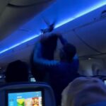 ΗΠΑ: Περιστέρια προκάλεσαν χάος σε αεροπορική πτήση – Δύο φορές αναγκαστική επιστροφή (βίντεο)