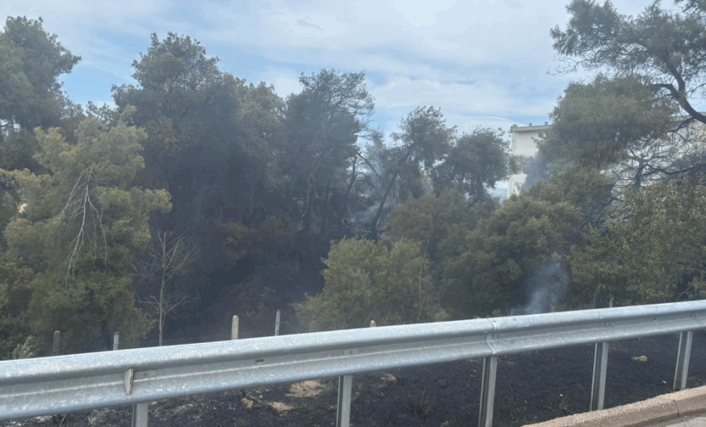 Υπο έλεγχο τέθηκε η φωτιά στον Αυλώνα