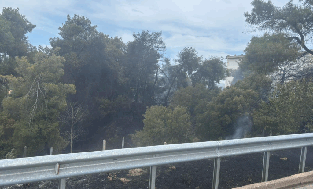 Υπο έλεγχο τέθηκε η φωτιά στον Αυλώνα