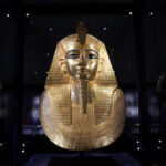 Τοξικός μύκητας της κατάρας των Φαραώ μετατρέπεται σε φάρμακο κατά της λευχαιμίας