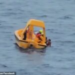 Σοκ στον Ατλαντικό: Πεντάχρονη έπεσε από το κατάστρωμα κρουαζιερόπλοιου – Βούτηξε ο πατέρας του για να το σώσει (βίντεο)