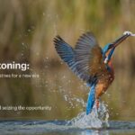 Accenture: Οι ευρωπαϊκές επιχειρήσεις οφείλουν να επιταχύνουν την υιοθέτηση της τεχνητής νοημοσύνης για να μειώσουν το χάσμα παραγωγικότητας