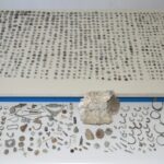 Γρεβενά: Απολίθωμα προβοσκιδωτού ζώου ηλικίας 3 εκατ. ετών στα χέρια αρχαιοκάπηλων – Δύο συλλήψεις [Εικόνες]