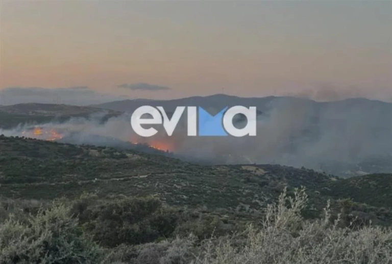 Φωτιά στην Εύβοια: Εκκενώθηκε ξενοδοχείο, εστάλη «112»
