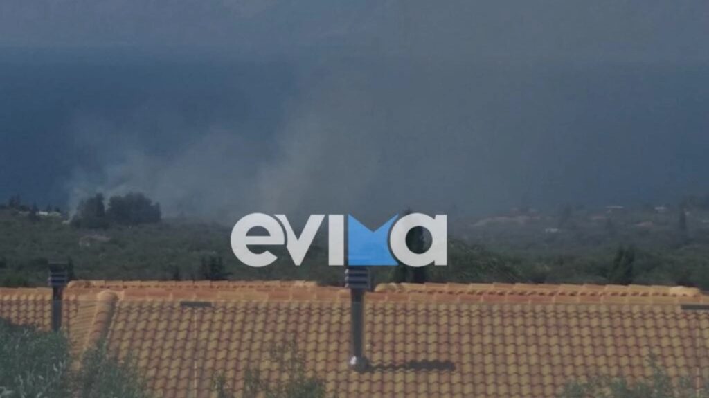 Φωτιά κοντά σε ξενοδοχείο στην περιοχή Λουκίσσια Εύβοιας