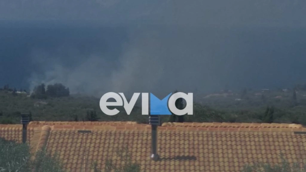 Φωτιά κοντά σε ξενοδοχείο στην περιοχή Λουκίσσια Εύβοιας