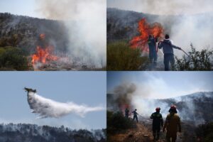 Φωτιά στο Σούλι Μαραθώνα