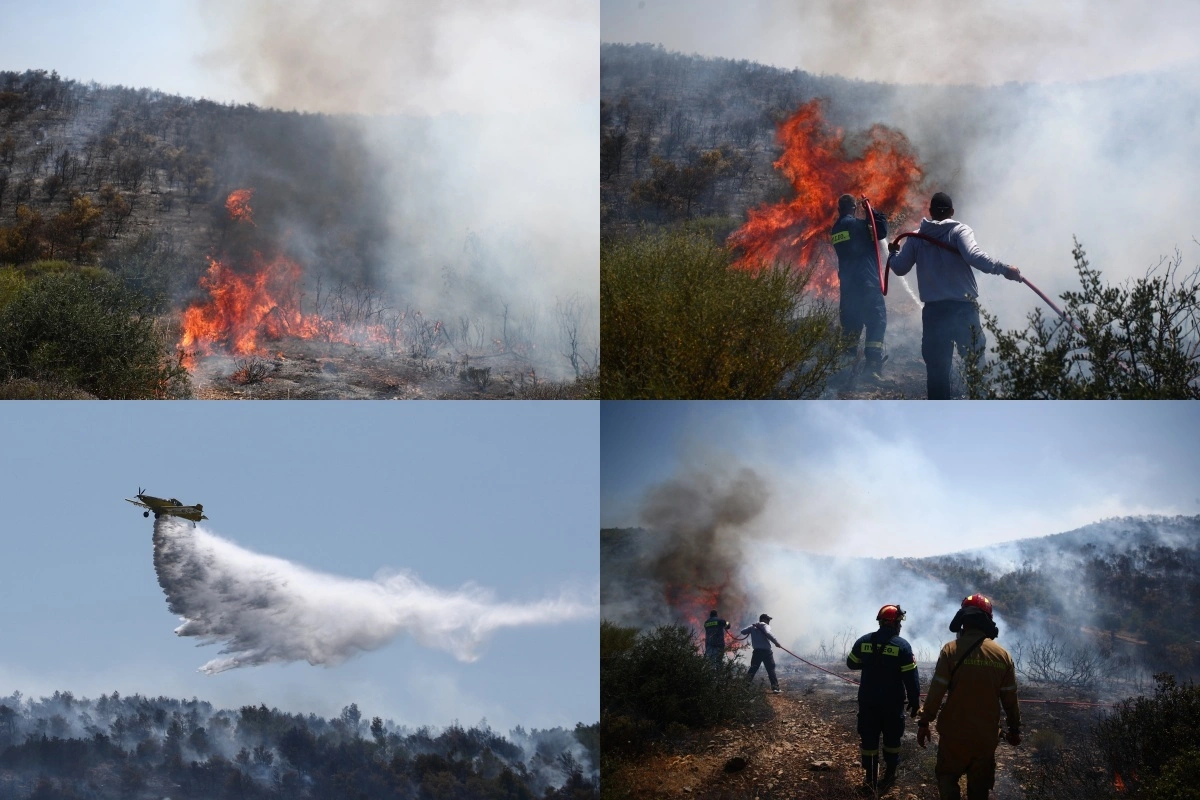 Φωτιά στο Σούλι Μαραθώνα