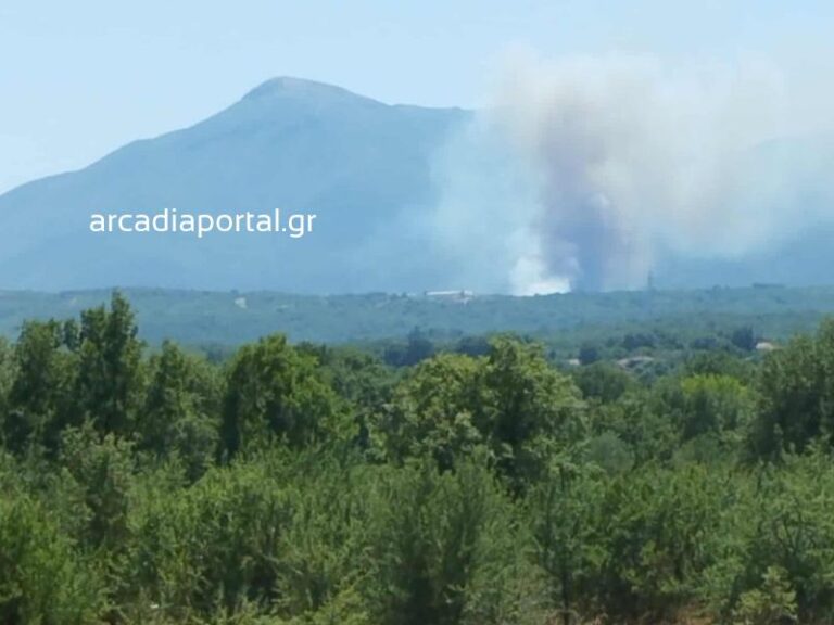 Φωτιά τώρα στην Αρκαδία – Επιχειρούν 4 αεροσκάφη και 2 ελικόπτερα