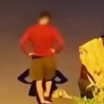 Θεσσαλονίκη: Πρόστιμο 50.000 ευρώ σε 34χρονο που σκότωσε γατάκι στην Καλαμαριά