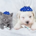 Όταν η θερμοκρασία ανεβαίνει – Τι συμβαίνει με τον πυρετό