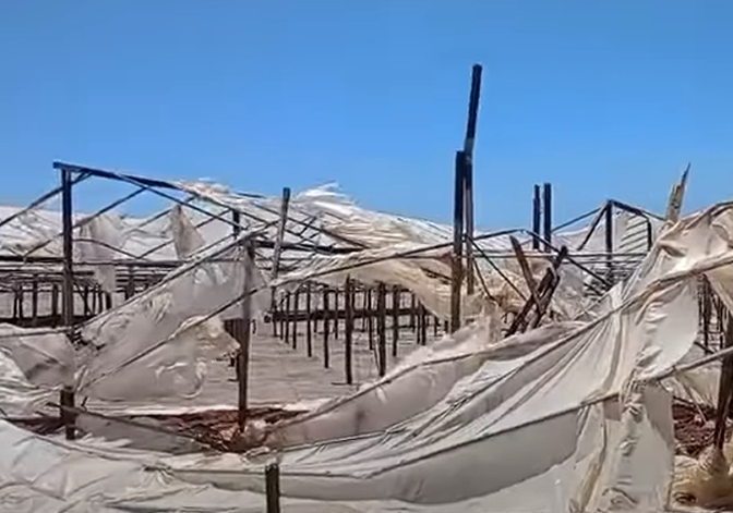 Χανιά: Καταστροφές από θυελλώδεις ανέμους στα θερμοκήπια της Κουντούρας