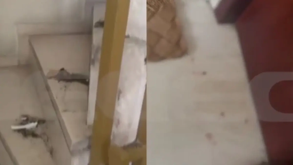 Βύρωνας: Ποια είναι, όμως, η γνωστή ηθοποιός που επιτέθηκε με κατσαβίδι; Το βαρύ παρελθόν της