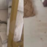 Βύρωνας: Ποια είναι, όμως, η γνωστή ηθοποιός που επιτέθηκε με κατσαβίδι; Το βαρύ παρελθόν της