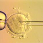 Επανάσταση στο DNA: Γεννήθηκαν τα πρώτα οκτώ υγιή μωρά από τρία άτομα