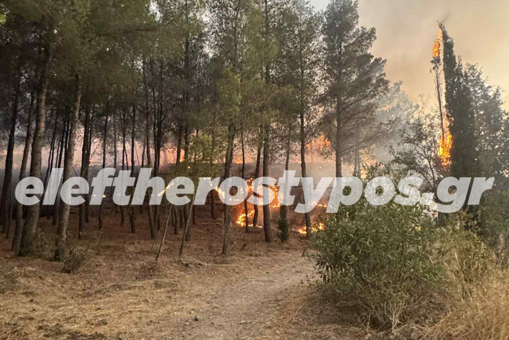 Φωτιά στο Ψυχικό προς Τουρκοβούνια – Απειλούνται σπίτια [Εικόνες]