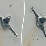 Η στιγμή που ένα πουλί διαλύει το πιλοτήριο ενός πολεμικού αεροπλάνου αξίας 73 εκατομμυρίων λιρών