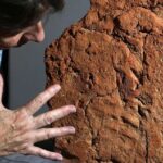 Μυστηριώδες αποτύπωμα χεριού ανακαλύφθηκε σε ταφική προσφορά αρχαίου αιγυπτιακού τάφου: Είναι πάνω από 4.000 ετών