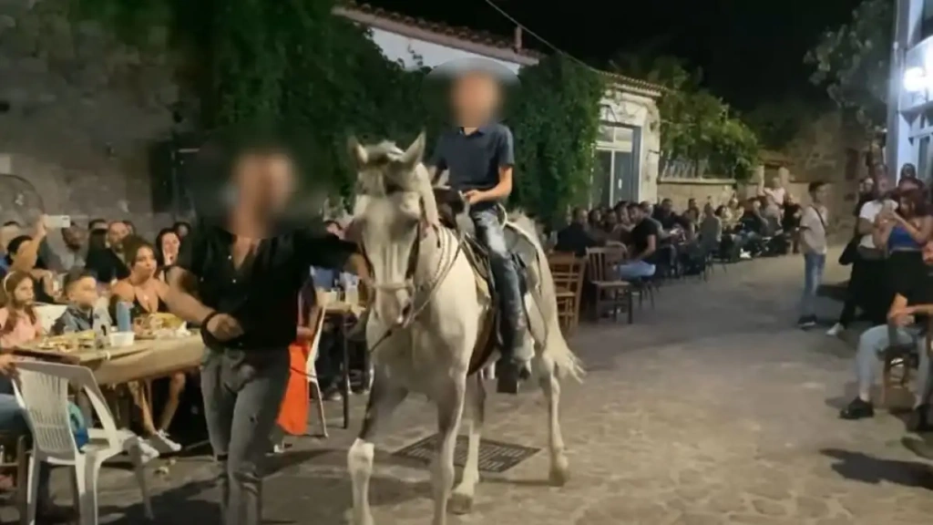 Λέσβος: «Μάχη» για την ζωή του δίνει 27χρονος που χτυπήθηκε από το άλογό του στο κεφάλι σε πανηγύρι