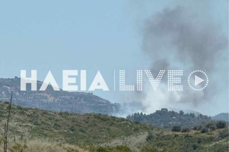 Φωτιά τώρα στην Αρχαία Ολυμπία – Επιχειρούν εναέρια μέσα
