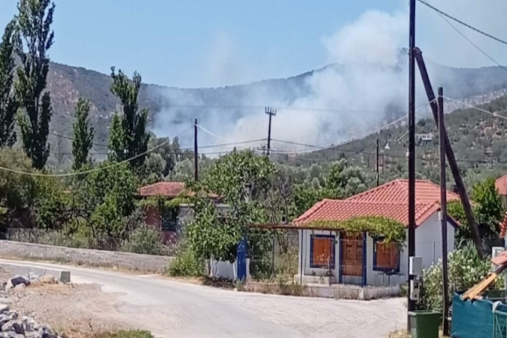 Λέσβος: Φωτιά στον Αυλώνα – Επιχειρούν και εναέρια