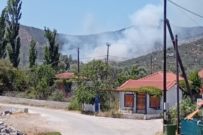 Λέσβος: Φωτιά στον Αυλώνα – Επιχειρούν και εναέρια