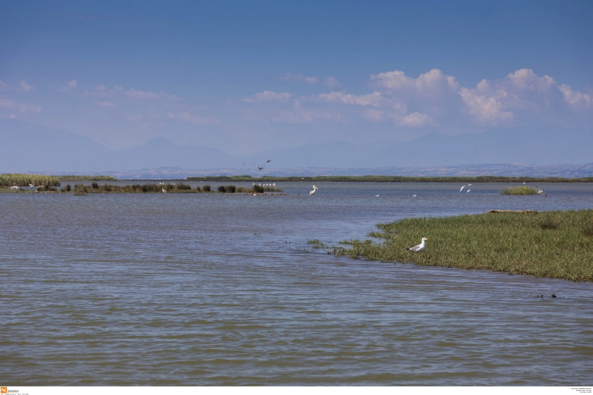 Ποταμός Αξιός