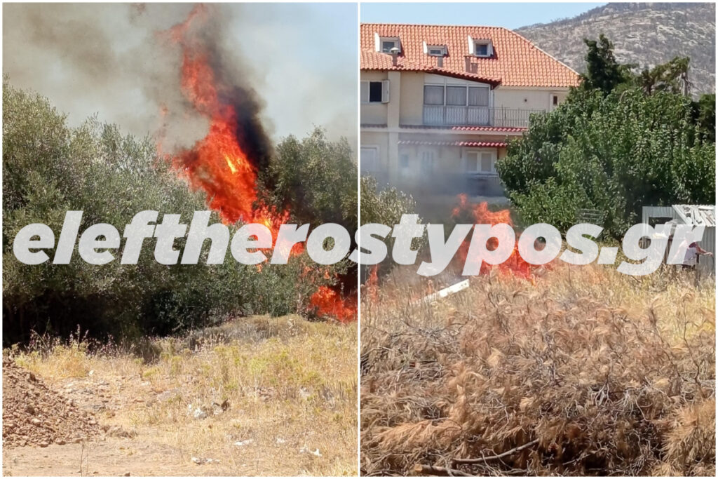 Έσβησε η φωτιά στο Μενίδι – Έκαιγε κοντά σε σπίτια [αποκλειστικές εικόνες]