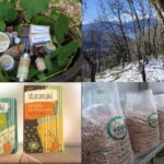 Ευρωπαϊκό έργο BioRural: Πώς η ελληνική ύπαιθρος συμμετέχει στη βιώσιμη Ευρώπη του αύριο