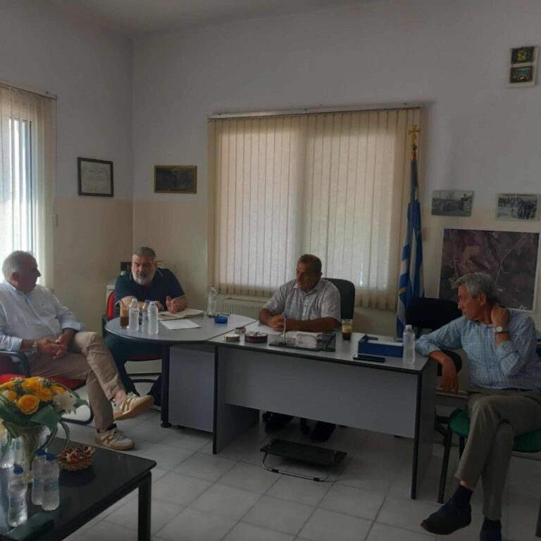 Κοζάνη: Δραστικά μέτρα ζητούν οι κοινοτάρχες Εορδαίας για τις επιθέσεις από αρκούδες