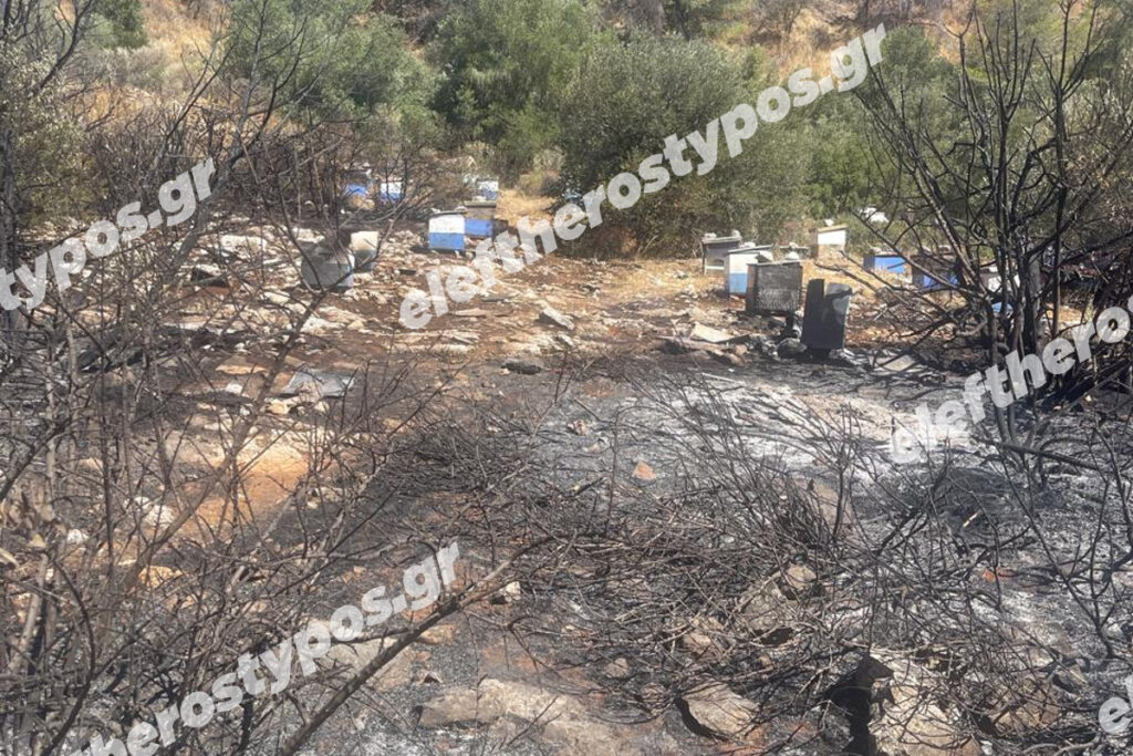 Από μελίσσια ξεκίνησε η καταστροφική φωτιά στον Υμηττό