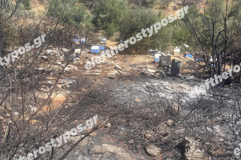 Από μελίσσια ξεκίνησε η καταστροφική φωτιά στον Υμηττό