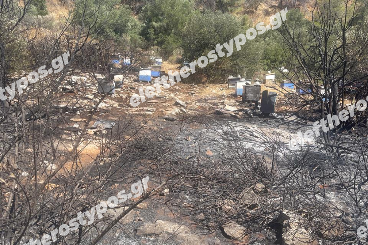 Από μελίσσια ξεκίνησε η καταστροφική φωτιά στον Υμηττό