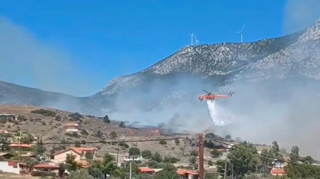 Φωτιά στη Αλυκή: Οι φλόγες «έγλειψαν» αυλές – Μάχη με τις αναζωπυρώσεις