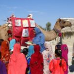 Πακιστάν: Καμήλα που κακοποιήθηκε από ιδιοκτήτη περπάτησε και πάλι με τεχνητό μέλος